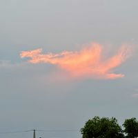 フェニックス,夕焼け雲,夕焼け雲,夕空,雲仲間の画像