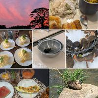 ミント,黒松,黒松,ハーブ,思い出の画像