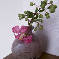 百日紅,一輪挿し,信楽焼,iPhone撮影,asingleflowervaseの画像