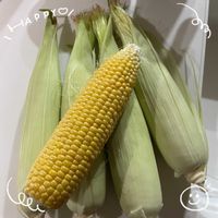 アサガオ,カンナ,とうもろこし,お土産,お花大好き♡の画像