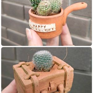 手作り鉢,イベント出店,テラコッタ鉢,月の手しごと,tsuki＆miiwa succulentの画像