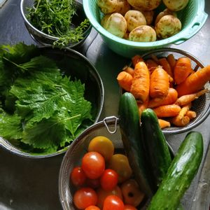 キュウリ,トマト,大葉,新じゃが,キッチンの画像