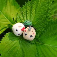 リトープス,青紫蘇,E.ファイヤーピラー,カンティクル,キュンティクルの画像