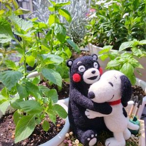 シソ,バジル,青紫蘇,くまモン,ガーデニングの画像