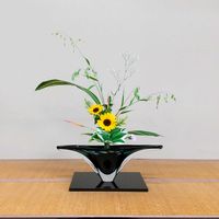 カスミソウ,ナルコユリ,ヒマワリ,タマシダ,ハランの画像