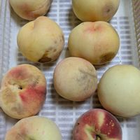 青紫蘇,桃の実,桃と生ハムのパスタ,うまっ♡,美味しい♡の画像