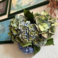 アジサイ,アジサイ（マジカルレボリューション）,紫陽花のスワッグ,スワッグの画像