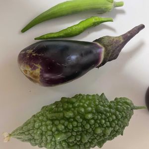 ゴーヤ,ナス,丸オクラ,トウガラシ,いつまでも初心者の画像