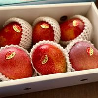 マンゴー,アップルマンゴー,沖縄,トロピカルフルーツ,今帰仁村の画像