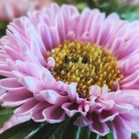 アスター,玄関内側の画像