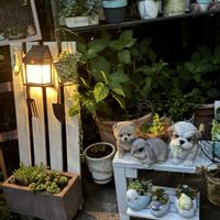 多肉植物,多肉寄せ植え,ガーデニング,すのこDIY,DIYのある暮らしの画像