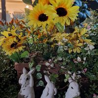 アザミ,ヒマワリ,キツネアザミ,いつもありがとう♡,素敵な出会いに感謝の画像