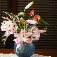 コエビソウ,カノコユリ,生け花,庭の花でアレンジ,あっ火曜日の画像