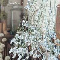 ハイブリッドスターチス,ドライフラワー,夏のお花,グリーンのある暮らし,インテリアと植物の画像