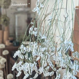 ハイブリッドスターチス,ドライフラワー,夏のお花,グリーンのある暮らし,インテリアと植物の画像