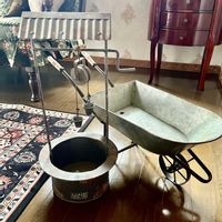 デザートスター,マディバ,多肉植物,ガーデニング,プランターの画像