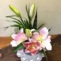 カサブランカ,モモ（桃）の画像
