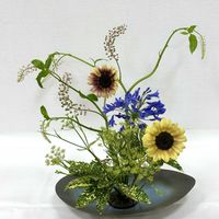 アオキ,アガパンサス,ヒマワリ,ウイキョウ,ヤマゴボウの画像