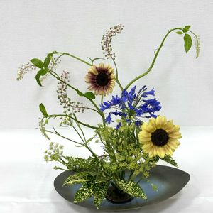 アオキ,アガパンサス,ヒマワリ,ウイキョウ,ヤマゴボウの画像