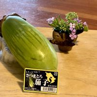 花のある暮らし,緑のある暮らし,GSに感謝。,いつも笑顔で〜〜♡,GS皆様ありがとうの画像