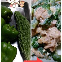 ピーマン,ゴーヤ料理,ピーマンの栽培,ゴーヤの収穫,ピーマンの収穫の画像