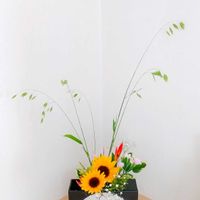 カスミソウ,ナルコユリ,ヒマワリ,ヘリコニア,コバンソウの画像