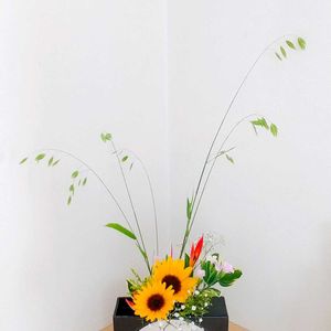 カスミソウ,ナルコユリ,ヒマワリ,ヘリコニア,コバンソウの画像