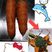 プランター栽培,人参の栽培,人参の収穫,種蒔きからの栽培,人参料理の画像