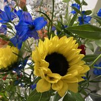 ヒマワリ,デルフィニウム,Juneの会,秘密の花園♡,2020年6月同期No.003の画像