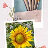 ヒマワリ,ミニトマト,キョウチクトウ,花のある暮らし,暑い夏の画像