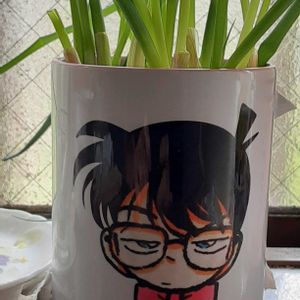 バジル,小ネギ,長ネギ,キッチン出窓,熊本地震お見舞い申し上げますの画像