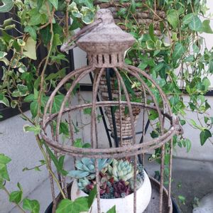 多肉植物 寄せ植え,多肉植物 寄せ植え,アイビー（ヘデラ）,多肉寄せ植え,サビサビの画像