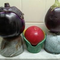 トマト,ナス,丸ナス,ナス ビステッカ,キッチンの画像
