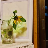 花のある暮らし,緑のある暮らし,GSに感謝。,平和を願う,GS皆様ありがとうの画像