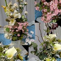 アエオ,多肉植物,ピンクウィッチ,リビング・ダイニングの画像