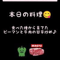 ピーマン,ガーデニング,食べた種,料理,リボベジの画像