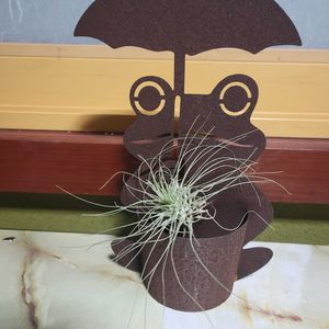 アサガオ,ノウゼンカズラ,エアプランツ・チランジア,アスクレピアス(トウワタ),花のある暮らしの画像