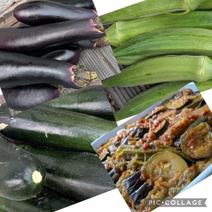 オクラ,茄子,ズッキーニ,ラタトゥイユ,ガーデニングの画像
