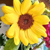 花束,今日のお花,幸せの黄色いお花,がんに負けるな！,しあわせ運べるようにの画像