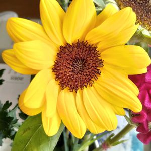 花束,今日のお花,幸せの黄色いお花,がんに負けるな！,しあわせ運べるようにの画像