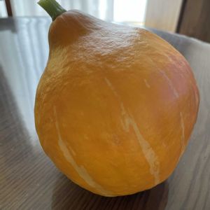 カボチャ,ビタミンカラー,癒し,夏野菜,庭の画像