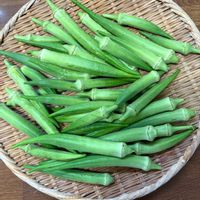 オクラ,花が好き,無農薬❤家庭菜園,野菜が好きの画像