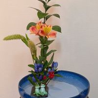バラ,テッポウユリ,私の生け花,朝４時30分ウォーキング始めたよ,お祝い花…接骨院の画像