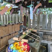 アジサイ,アルストロメリア,カーネーション,ガーベラ,ケイトウの画像