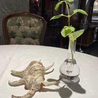ミント,お花は癒し,花が好き❤,☆携帯撮影☆,貝殻亭の画像