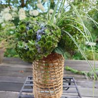 アジサイ,庭の花を飾る,庭の花を生ける,sasukemama倶楽部の画像