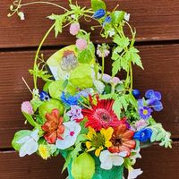 我が家の庭のお花達,花のある暮らし,緑のある暮らし,我が家の花達,GSに感謝。の画像
