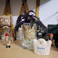 ビロードサンシチ,植物,no green no life,インテリアグリーン,植物のある暮らしの画像