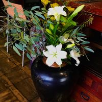 百合の花,お花を楽しむ,インテリアの画像