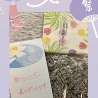 ラベンダー,ラベンダー,暁の峰,暁の峰,多肉ちゃんの画像